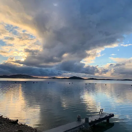 Βίλα Pine Tree *