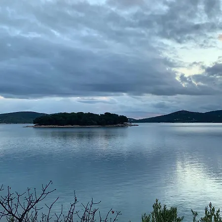 Pine Tree * Pakoštane