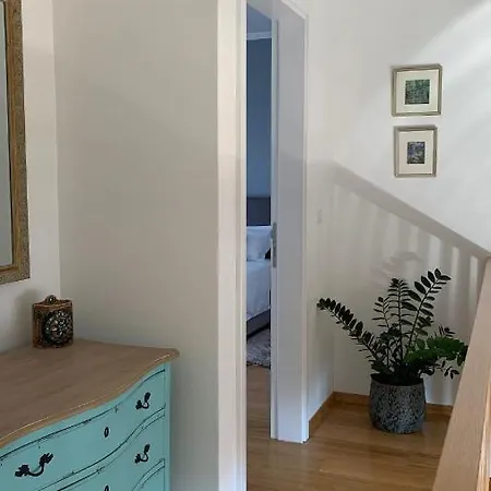 Pine Tree Pakoštane