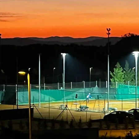 Pine Tree Pakoštane