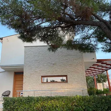 Pine Tree Pakoštane