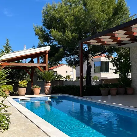 Pine Tree * Pakoštane