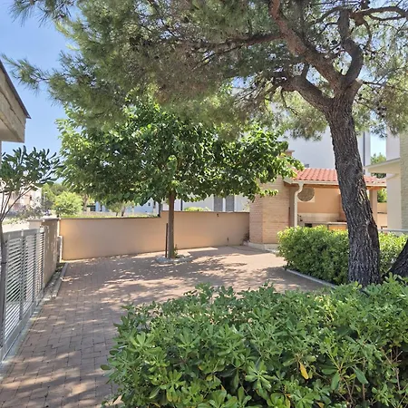 Pine Tree * Pakoštane