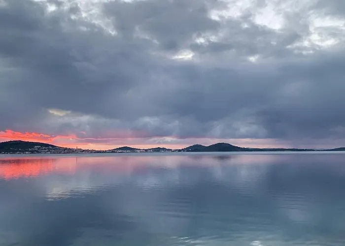 Pine Tree * Pakoštane