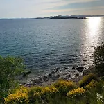 Villa Pine Tree
