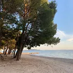 Villa Pine Tree *