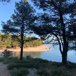 Villa Pine Tree