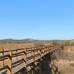 Pine Tree Pakoštane