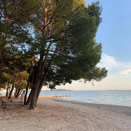 Вилла Pine Tree *