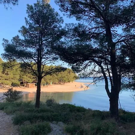 Вилла Pine Tree