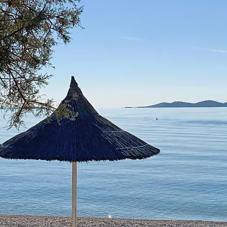 Pine Tree Villa