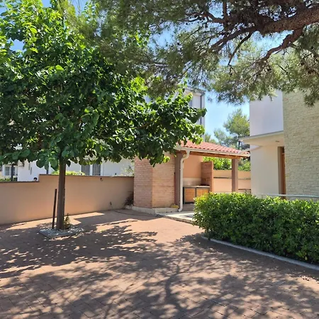 Pine Tree Pakoštane