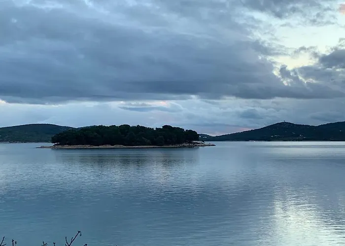 Pine Tree * Pakostane