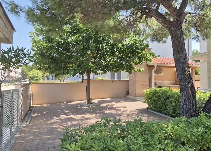 Pine Tree * Pakoštane